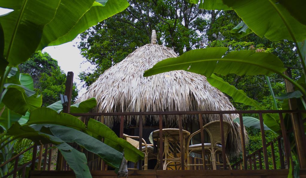 Tayrona Paradise Villa El Zaino Exterior foto